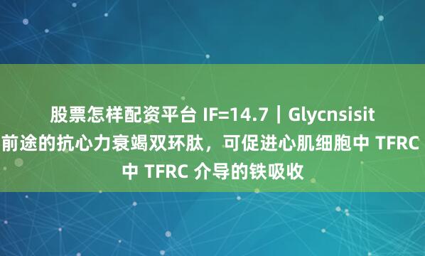 股票怎样配资平台 IF=14.7|Glycnsisitin A:一种有前途的抗心力衰竭双环肽,可促进心肌细胞中 TFRC 介导的铁吸收