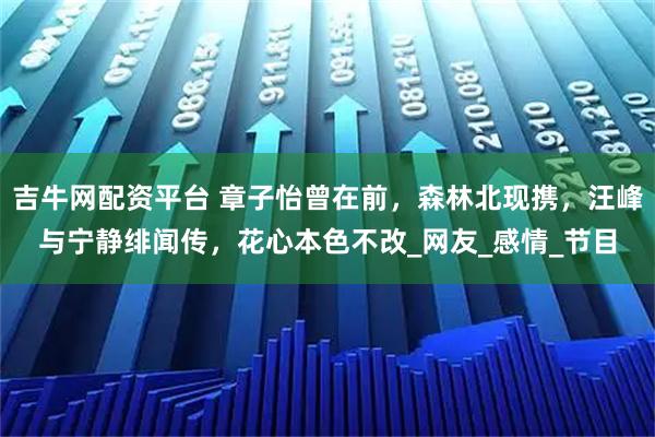 吉牛网配资平台 章子怡曾在前,森林北现携,汪峰与宁静绯闻传,花心本色不改_网友_感情_节目